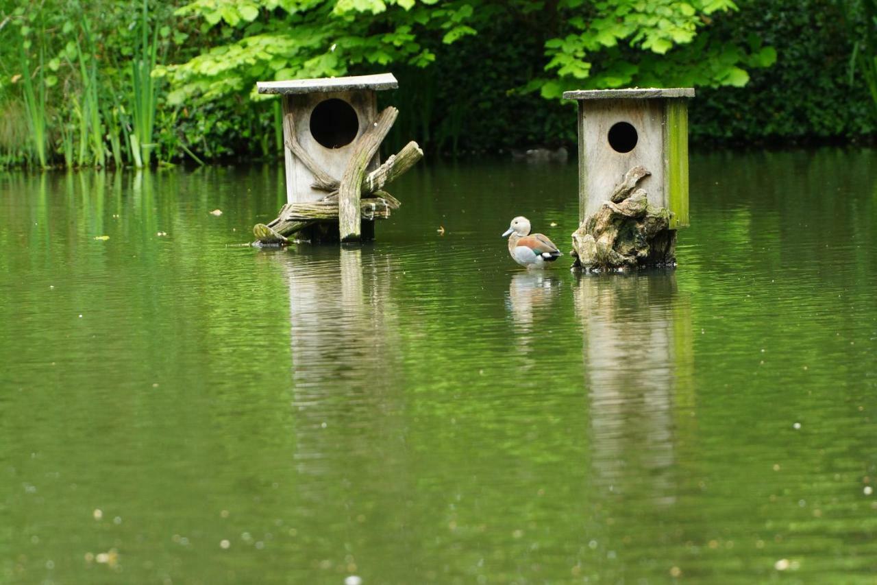 Gästewohnung Hardinghaus am Teich Warendorf Exterior foto